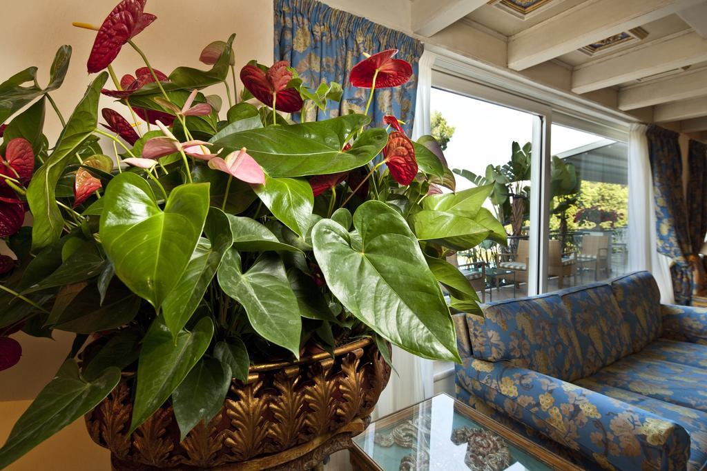 Excelsior Belvedere Hotel&spa 5* Ischia